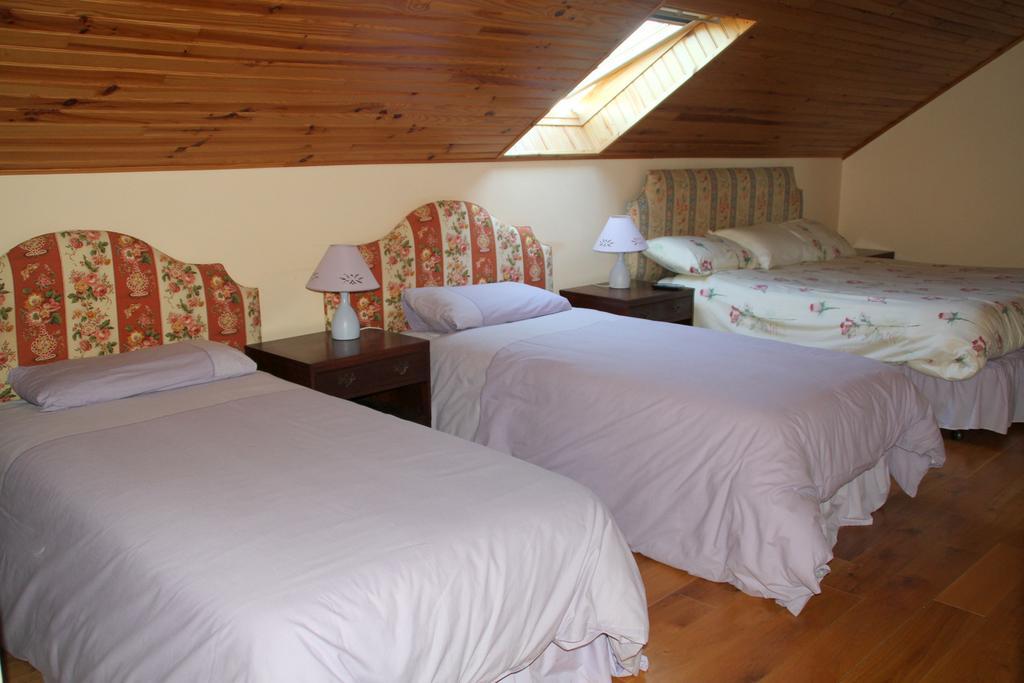 Woodview House Bed And Breakfast バリンローブ 部屋 写真